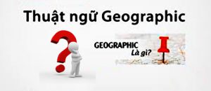 checkunique 1 75 - SEO tổng thể website