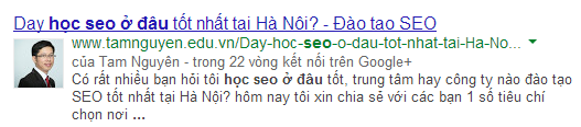 hoc seo tong the o dau - SEO tổng thể website