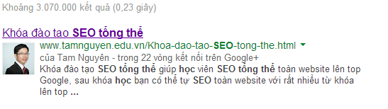 hoc seo tong the - SEO tổng thể website
