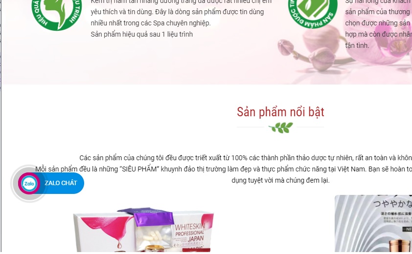 plugin chat zalo wordpress 2021 - SEO tổng thể website